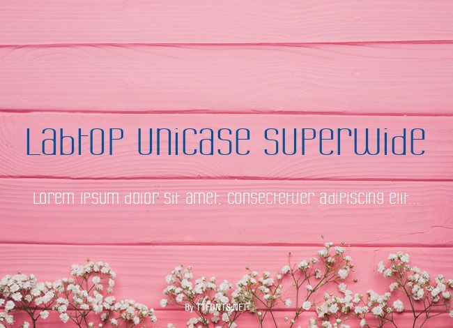 Labtop Unicase Superwide example
