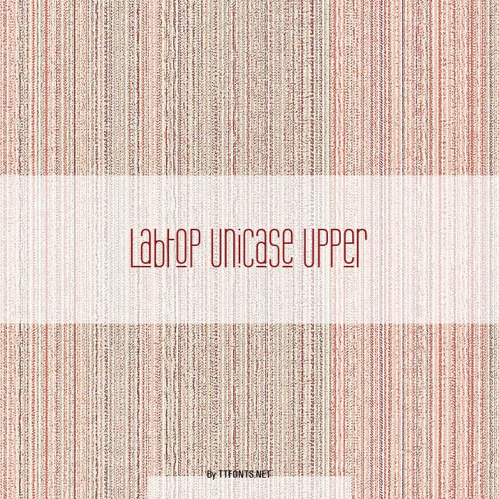 Labtop Unicase Upper example