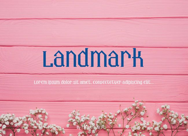 Landmark example