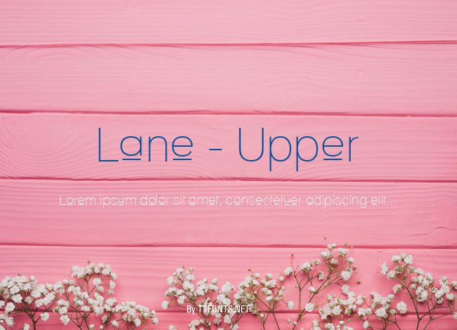 Lane - Upper example