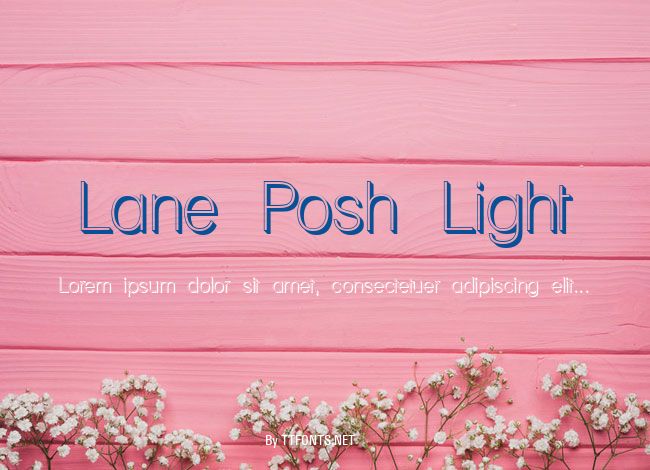 Lane Posh Light example