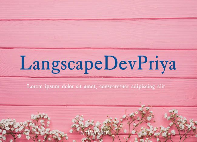 LangscapeDevPriya example
