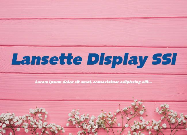 Lansette Display SSi example