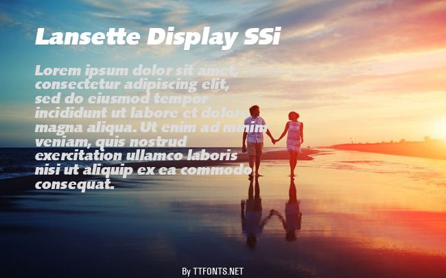 Lansette Display SSi example