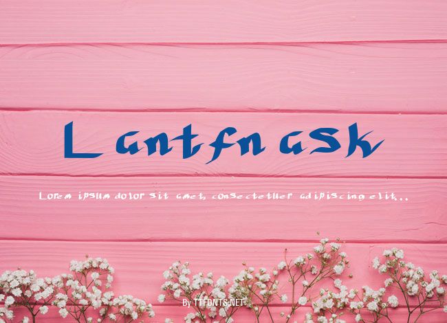 Lantfnask example