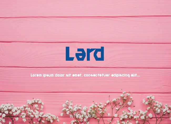 Lard example