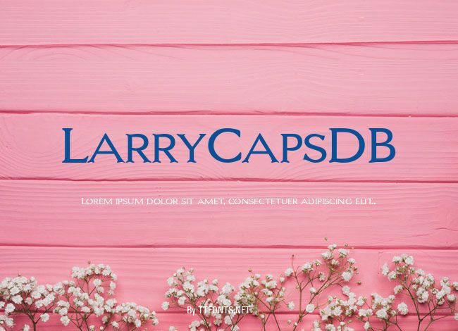 LarryCapsDB example