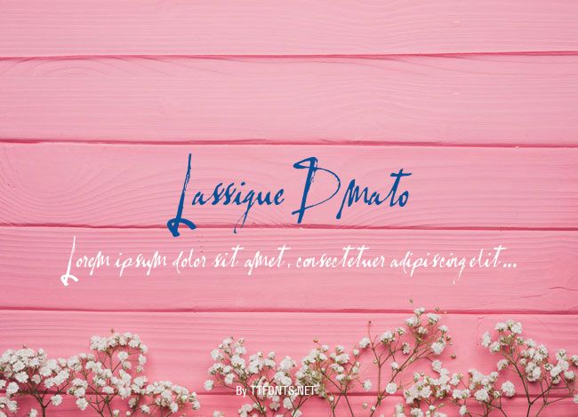 LassigueDmato example