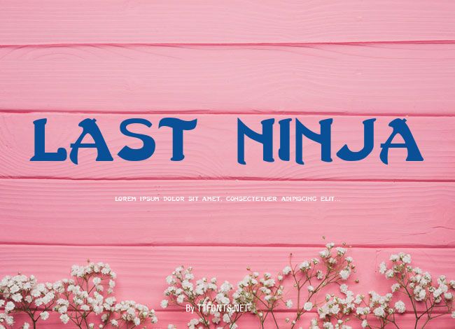 Last Ninja example
