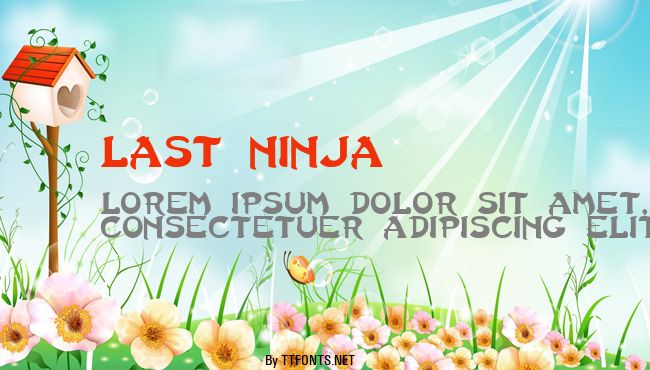 Last Ninja example