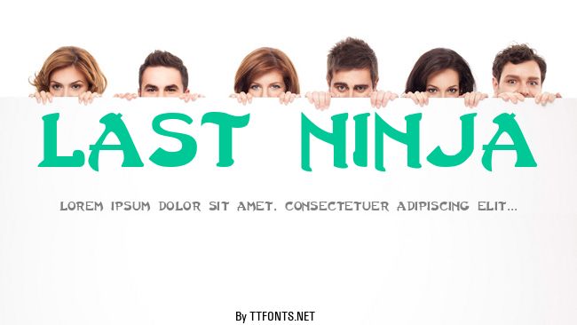Last Ninja example
