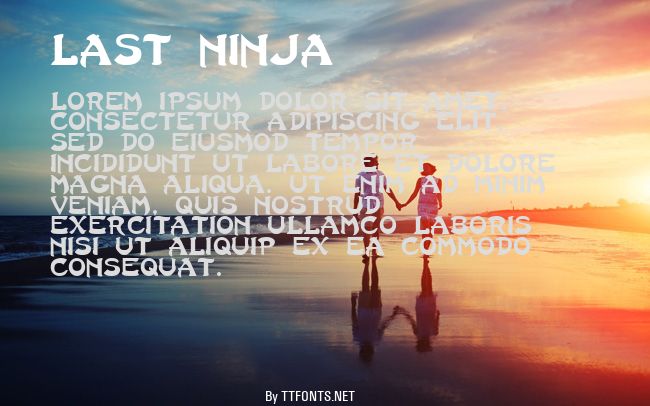 Last Ninja example