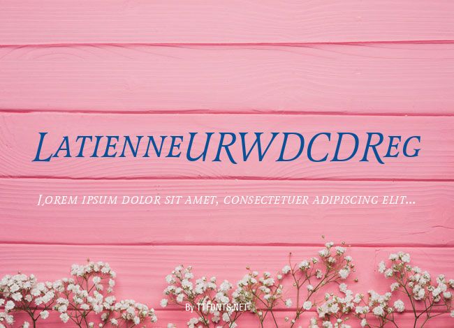 LatienneURWDCDReg example