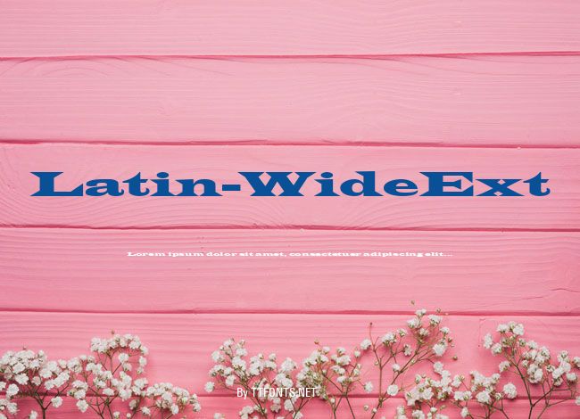 Latin-WideExt example