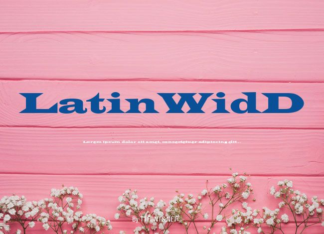 LatinWidD example