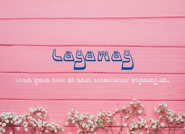 Layaway example