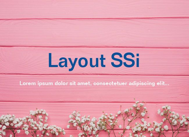 Layout SSi example