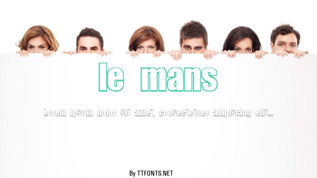 le mans example