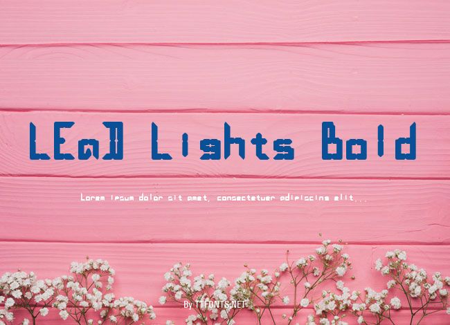 LEaD Lights Bold example