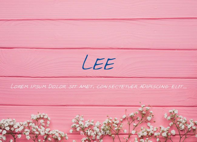 Lee example