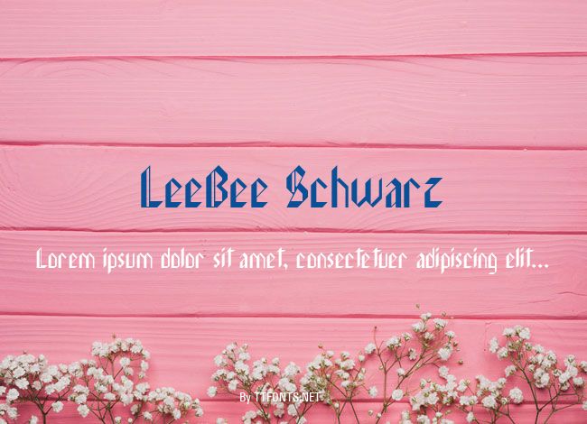 LeeBee Schwarz example