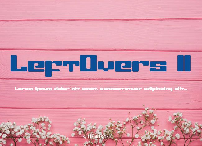 LeftOvers II example