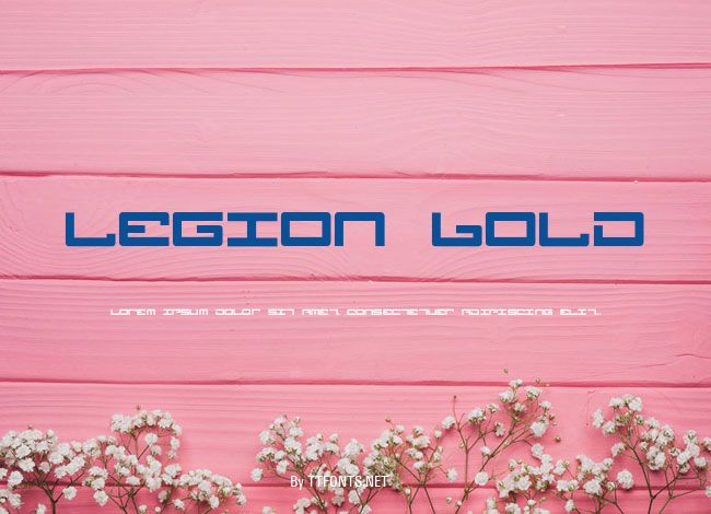 Legion Bold example