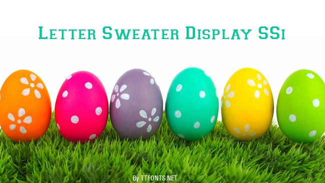 Letter Sweater Display SSi example