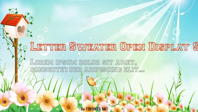 Letter Sweater Open Display SSi example