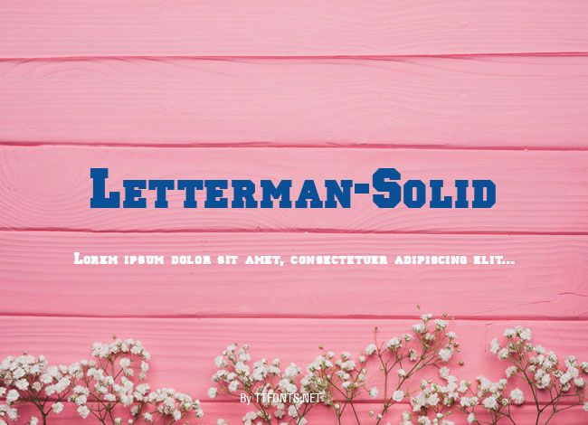 Letterman-Solid example