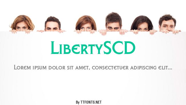 LibertySCD example