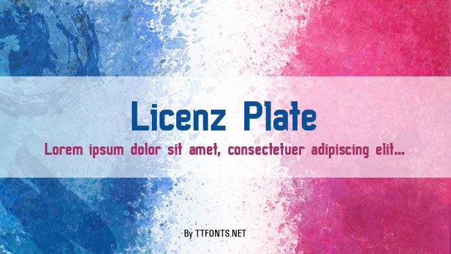 Licenz Plate example