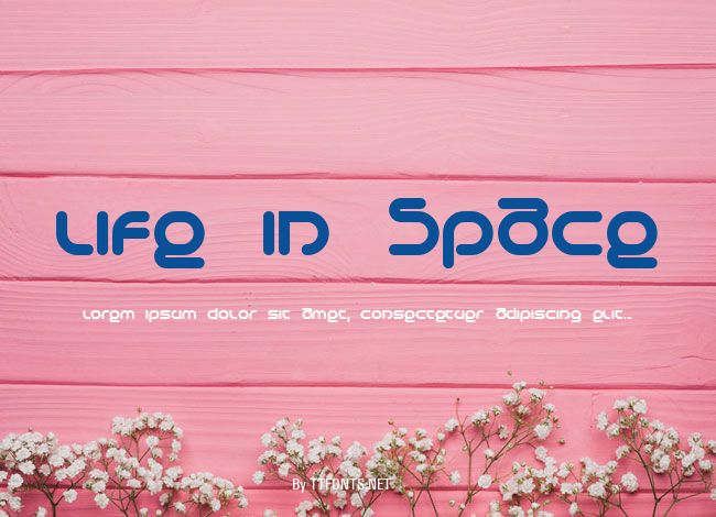 Life in Space example