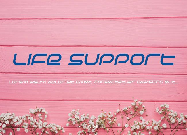 Life Support example