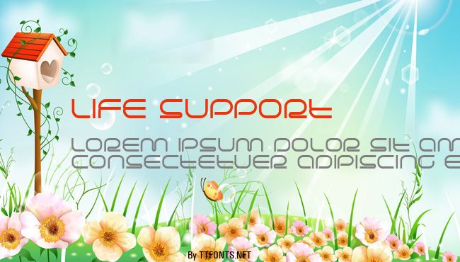 Life support example