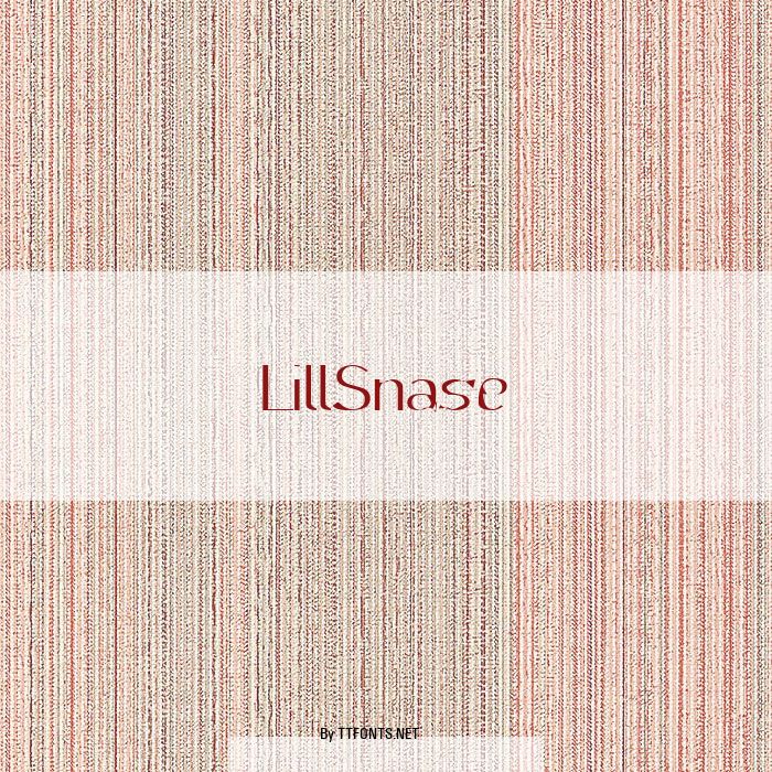 LillSnase example
