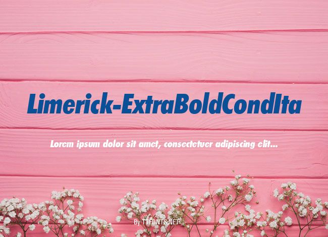 Limerick-ExtraBoldCondIta example
