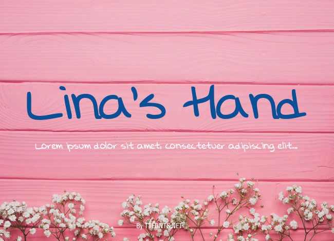 Lina's Hand example