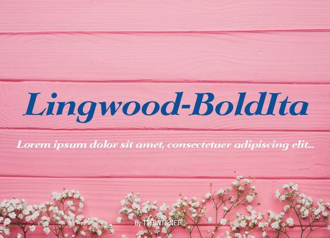 Lingwood-BoldIta example