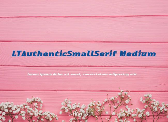 LTAuthenticSmallSerif Medium example