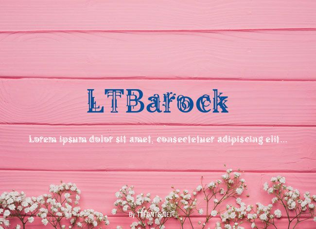 LTBarock example