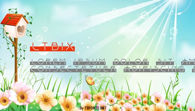 LTBix example