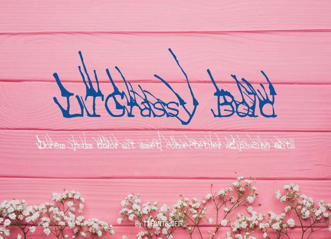 LTGrassy Bold example