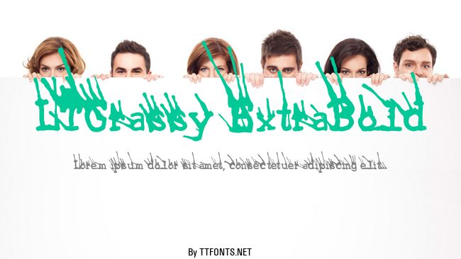 LTGrassy ExtraBold example