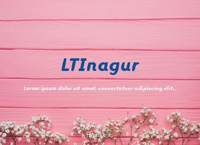 LTInagur example