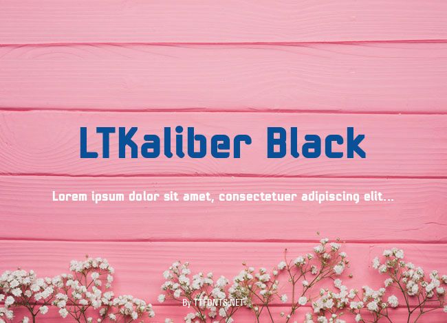 LTKaliber Black example