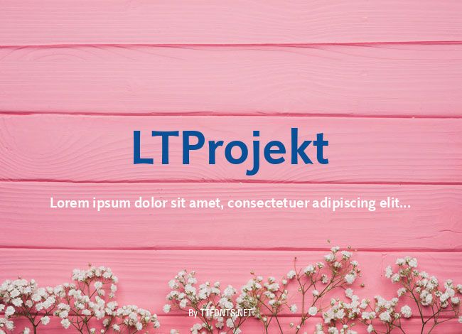 LTProjekt example