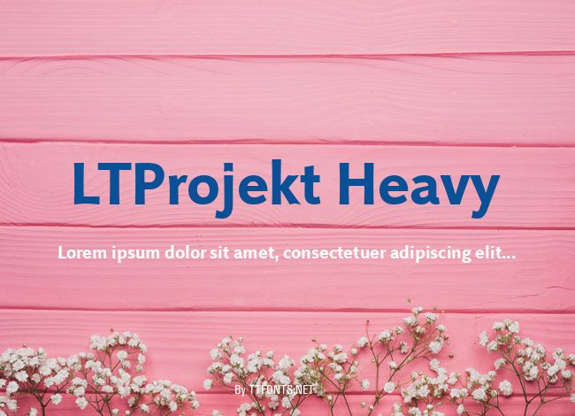LTProjekt Heavy example
