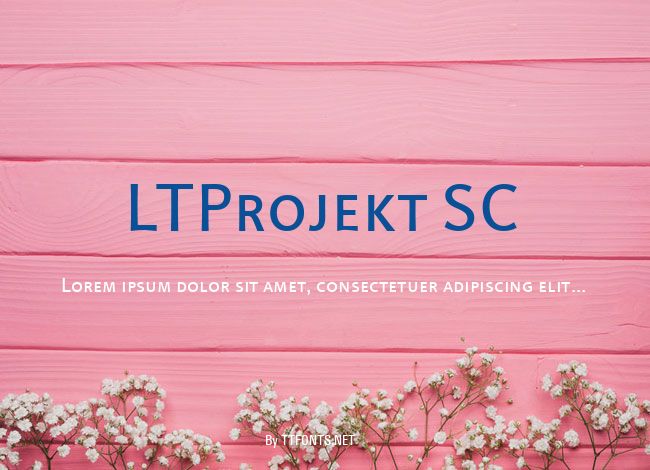 LTProjekt SC example