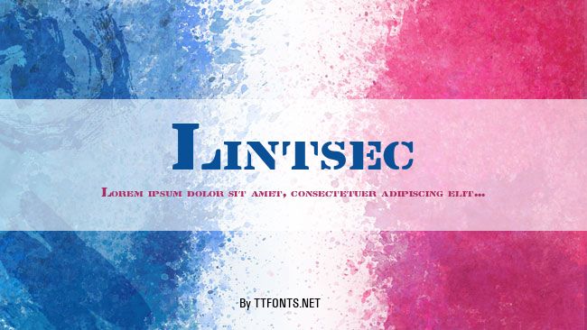 Lintsec example